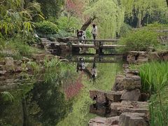 -南园(太仓市)