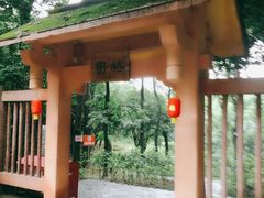 -三门江国家森林公园