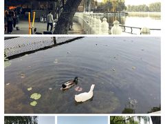 -后海