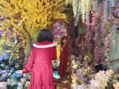 -正佳雨林生态植物园