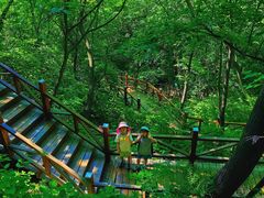-大岭沟猕猴桃谷风景区