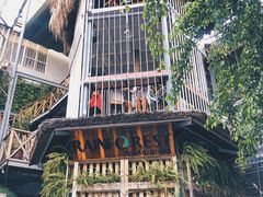 -Rainforest