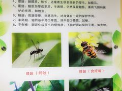 -上海昆虫博物馆