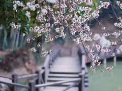 -宝岩生态观光园