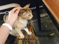 -喜洲吧·江畔老船厂·庭院餐厅(喜临院店)