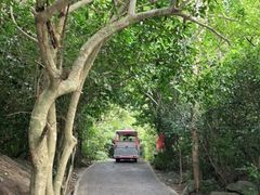 景点-三亚蜈支洲岛旅游区