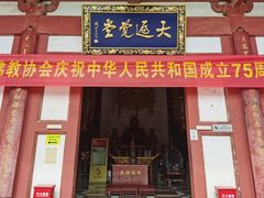 -灵谷景区