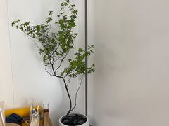 -麦当劳(徐汇漕溪北路百脑汇店)