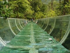 -花水湾第一村温泉大酒店