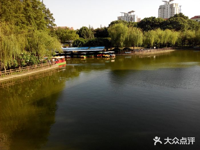 高桥公园-图片-上海景点/周边游-大众点评网