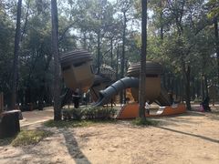 -东湖落雁景区