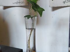 -花迹·金陵南京菜(老门东店)
