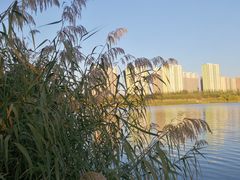 -永定河休闲森林公园