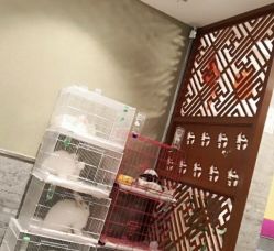 -萌兔星空蹦床撸兔馆