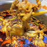 在白云也有火爆成都11年的地道美蛙鱼火锅❗️❗️