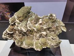 -天津自然博物馆