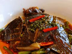 姜汁甲鱼-临江宴(陆家嘴店)