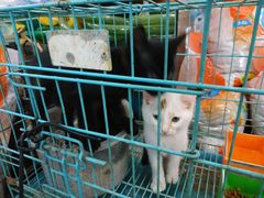 -双季花艺园艺市场(浦东店)