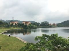 -河源万绿湖美思威尔顿酒店