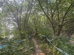 -嘉北郊野公园
