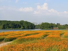 -海珠湖公园