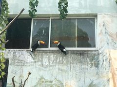 -无锡动物园·太湖欢乐园