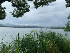 -浙江西子宾馆·牡丹厅