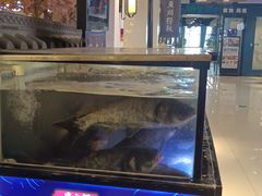 -卢大鲜鱼头捞饭(美利广场店)