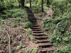 -青龙山国家森林公园