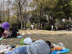 -南翔镇银翔湖公园