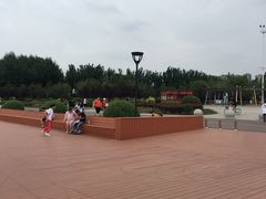 -丁香湖公园