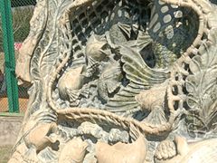 -鄱阳湖国家湿地公园