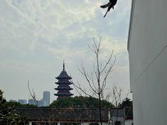 -苏州吴宫泛太平洋酒店