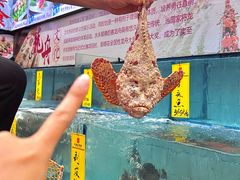 -有腥气私房菜·寻味顺德