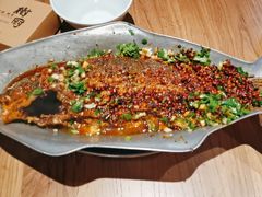 香辣炝锅鱼-树厨贵州菜(大十字店)