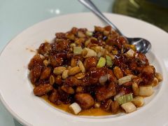 宫保鸡丁-正兴蜀园(科技园区店)