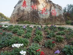 -广州市流溪河国家森林公园