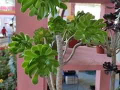 -沈阳国际会展中心管理有限公司