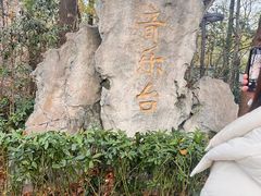 -灵谷景区