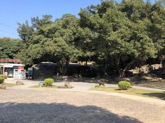 -云洞岩风景区