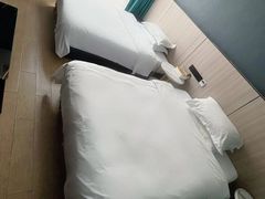 -长沙小天鹅戴斯酒店