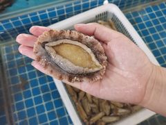 -双福水果批发市场