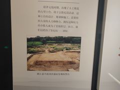 -上海崧泽遗址博物馆