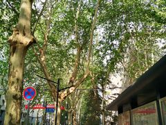 -西安石油大学(雁塔校区)