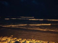 -库塔海滩