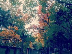 -长辛店二七公园