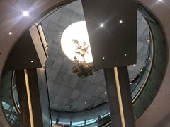 -金光华广场