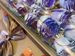 -ROSEONLY诺誓(广州K11店)