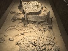 -北京大葆台遗址博物馆