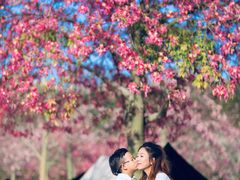 -风云岭森林公园